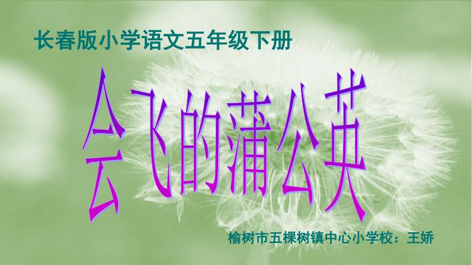 会飞的蒲公英_第1页