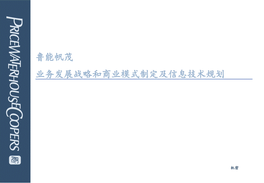 某咨询鲁能帆茂业务发展战略&商业模式制定及信息技术规划报告bkzy_第1页