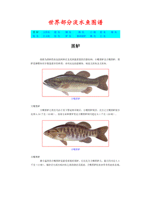 世界部分淡水鱼图谱 (2)