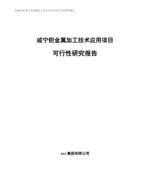 咸宁钽金属加工技术应用项目可行性研究报告