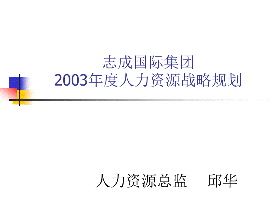 某某集团某某年度人力资源战略规划bhps_第1页