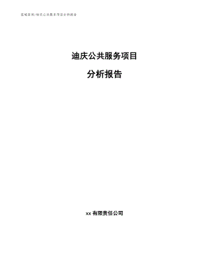 迪庆公共服务项目分析报告_范文