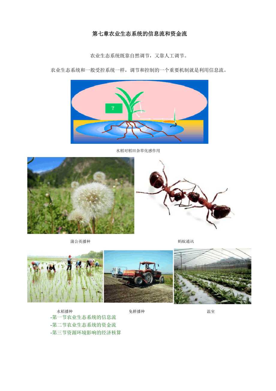 第六章 农业生态系统的信息流和资金流_第1页
