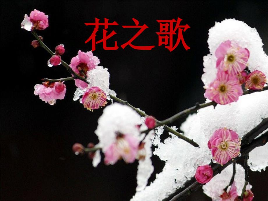 五年级人音版音乐下册第6百花园之《花之歌》百花园件01_第1页