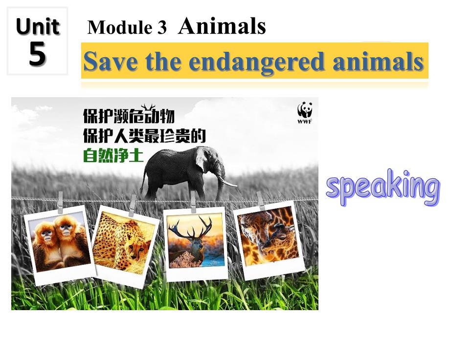 初中英语unit-5Module-3-Animals-Save-the-endangered-animals口语拓展课课件_第1页