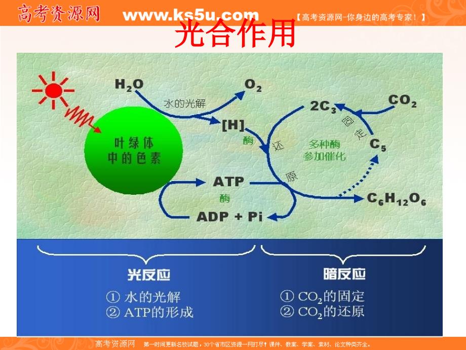 生物：5.4《能量之源——光与光合作用》课件(3)(新人教版必修1)_第1页