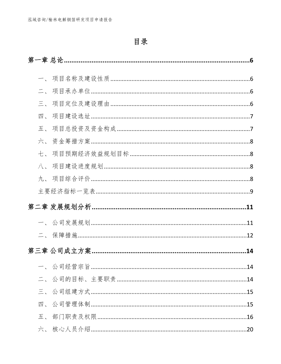 榆林电解铜箔研发项目申请报告模板_第1页