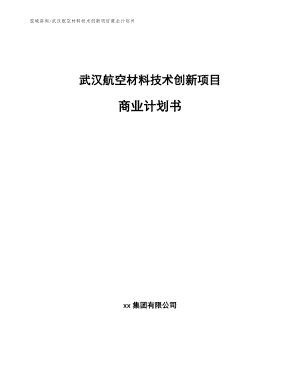 武汉航空材料技术创新项目商业计划书范文