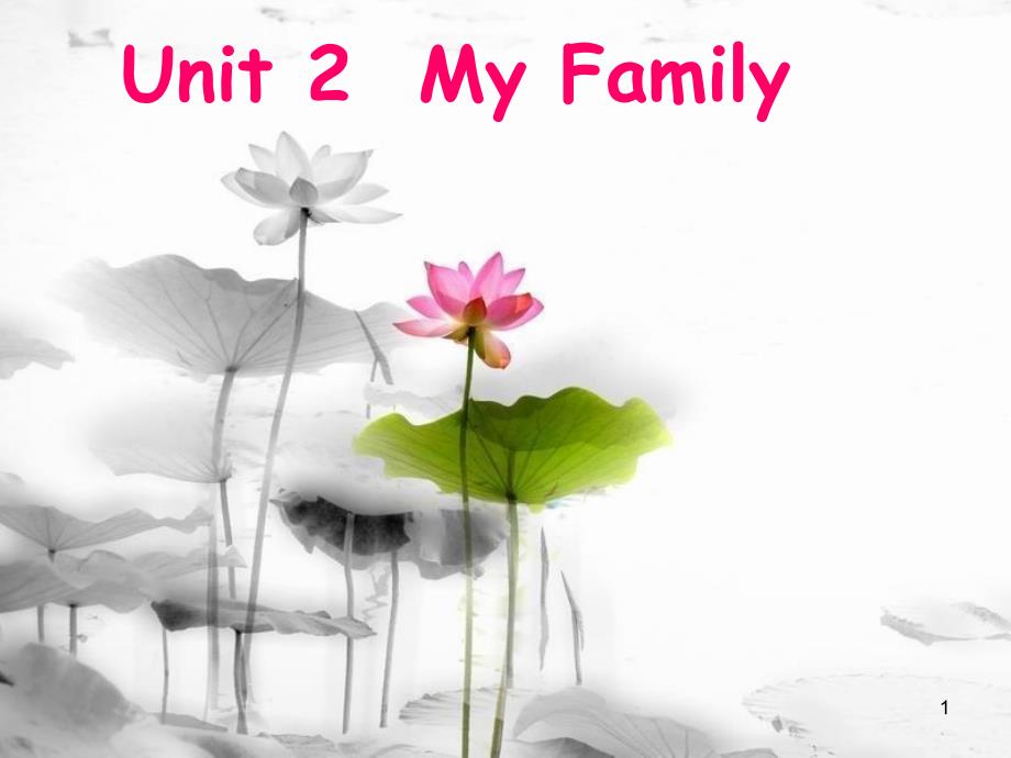 三年级英语下册 Unit 2 My Family课件2 陕旅版_第1页