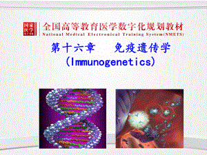 医学遗传学课件：第十六章 免疫遗传学