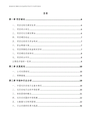 铜陵光伏设备研发项目可行性研究报告范文