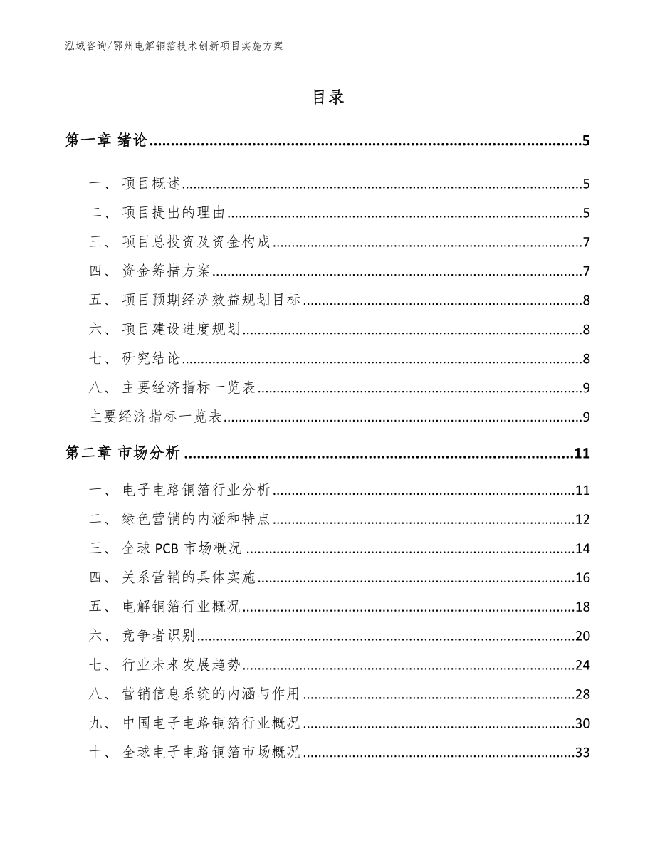 鄂州电解铜箔技术创新项目实施方案_第1页