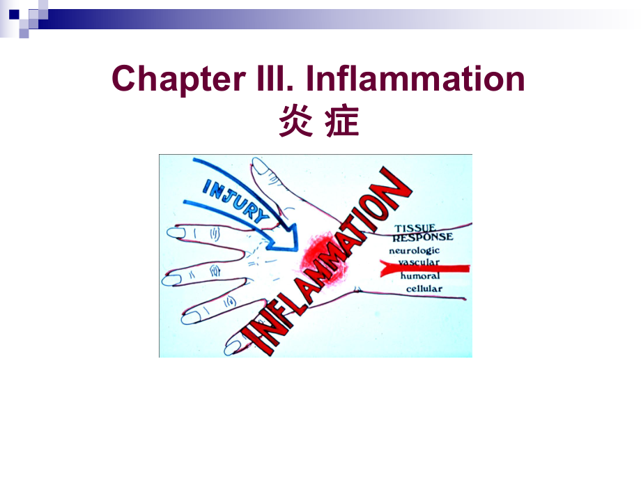 病理学：3 inflammation_第1页