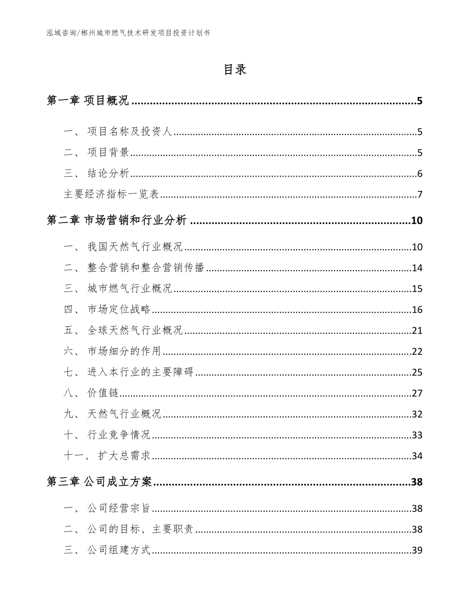 郴州城市燃气技术研发项目投资计划书【模板参考】_第1页