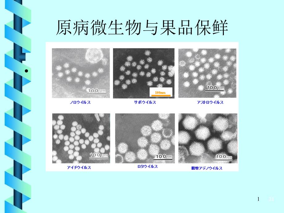 第五讲 病原微生物与果品保鲜_第1页