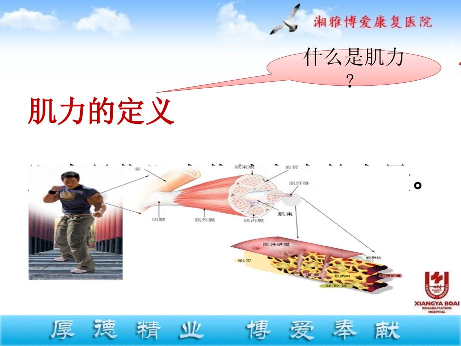 医学课件肌力评定专题宣讲_第1页