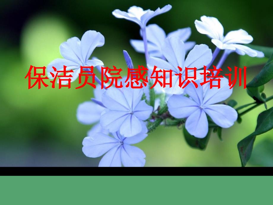 保洁员培训（PPT42页)_第1页