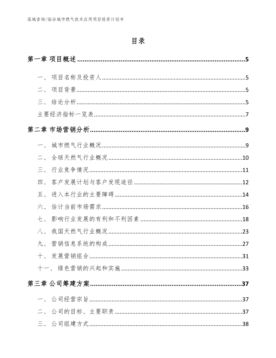 临汾城市燃气技术应用项目投资计划书参考模板_第1页