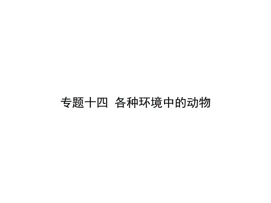 专题十四各种环境中的动物课件_第1页