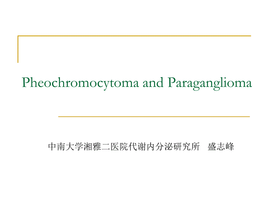 肾上腺嗜铬细胞瘤课件_第1页