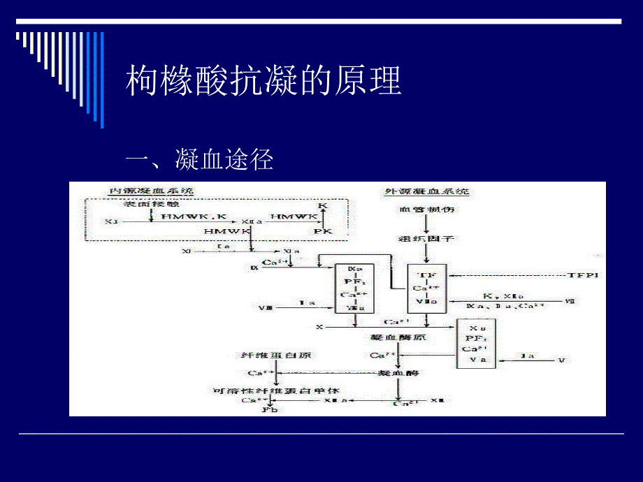 医学课件CRRT的枸橼酸抗凝_第1页