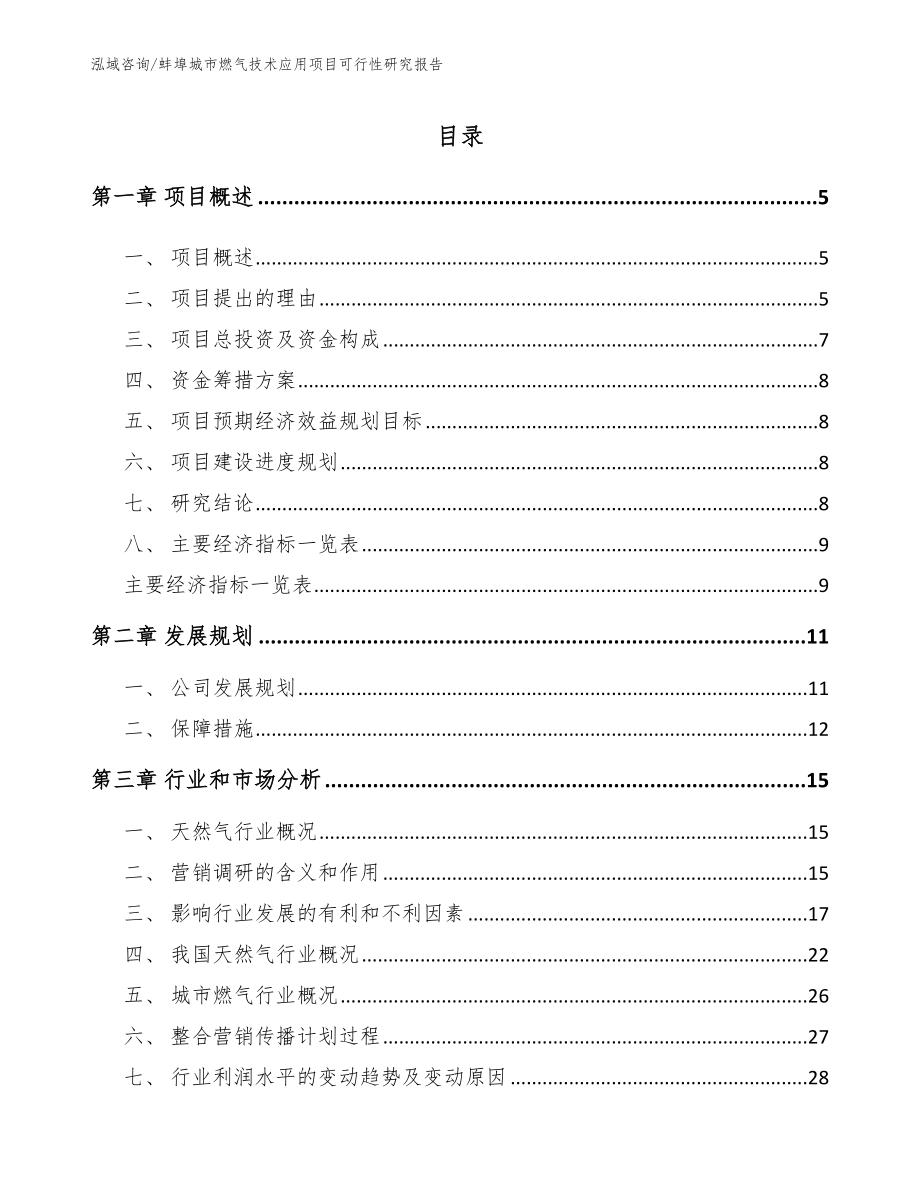 蚌埠城市燃气技术应用项目可行性研究报告_第1页