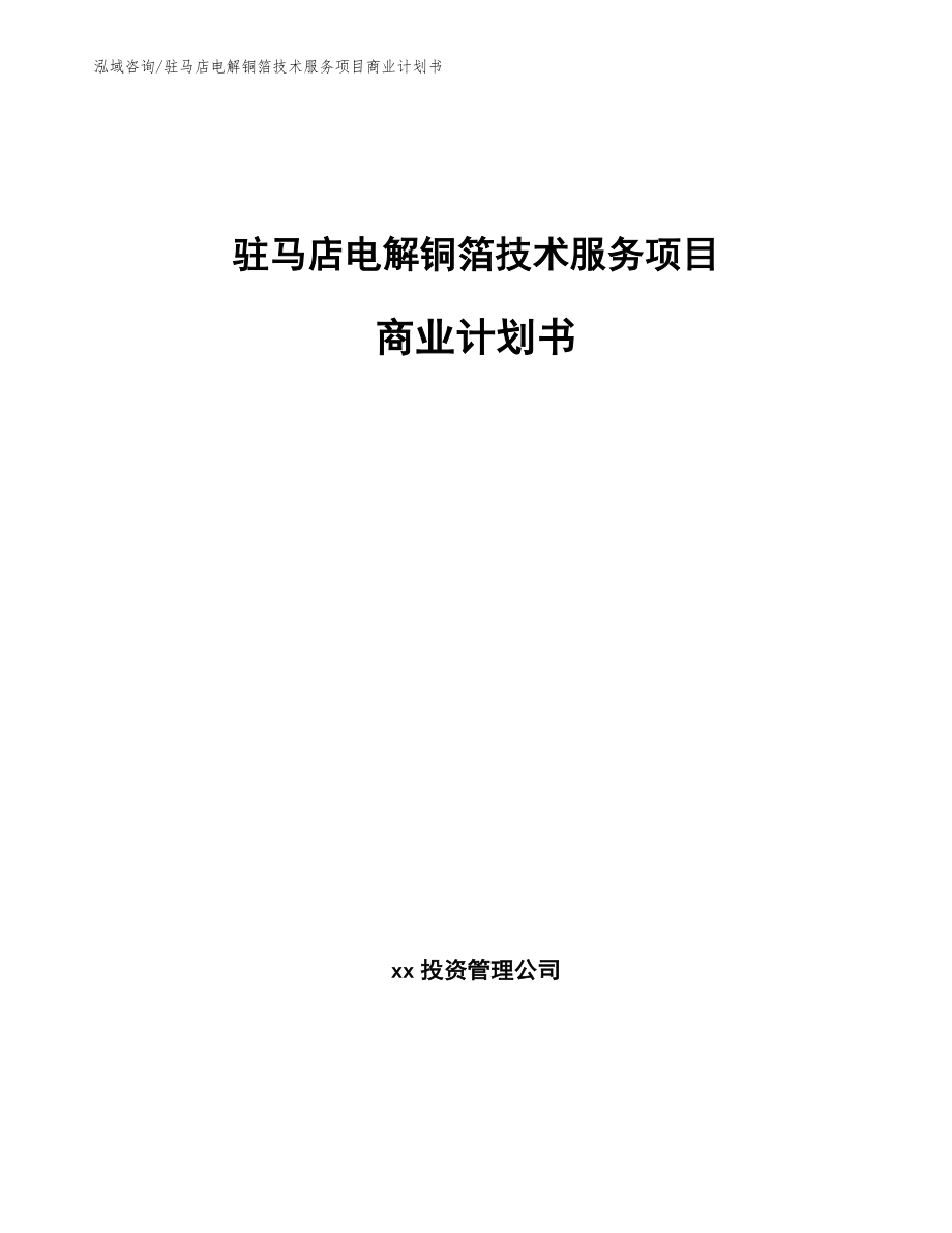 驻马店电解铜箔技术服务项目商业计划书（范文参考）_第1页