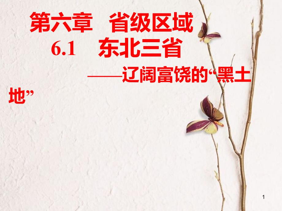 山西省太原市八年级地理下册 6.1东北三省—辽阔富饶的黑土地课件 晋教版_第1页