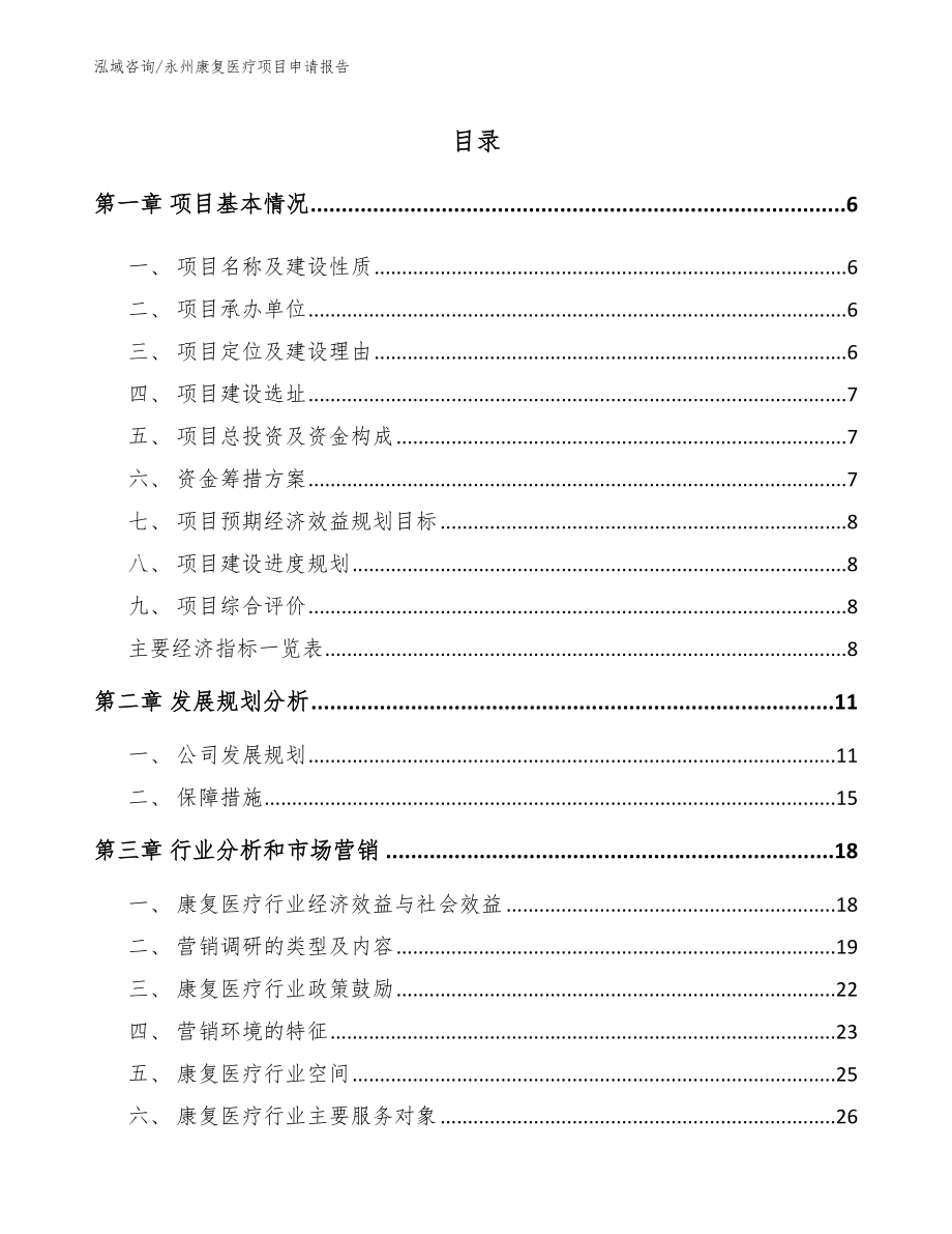永州康复医疗项目申请报告【范文模板】_第1页