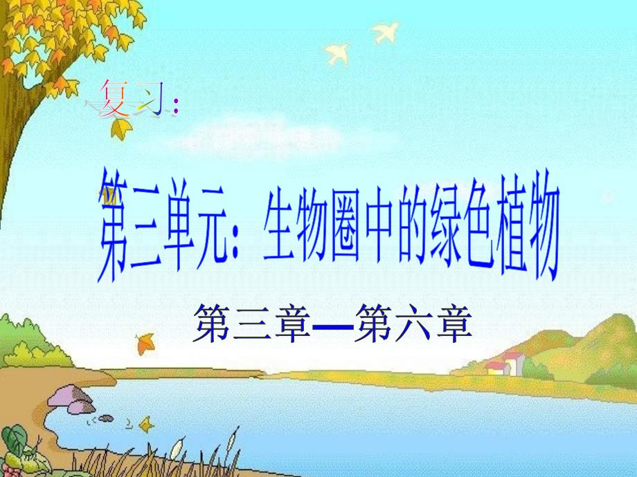 初生物第三单元复习(第三章课件_第1页