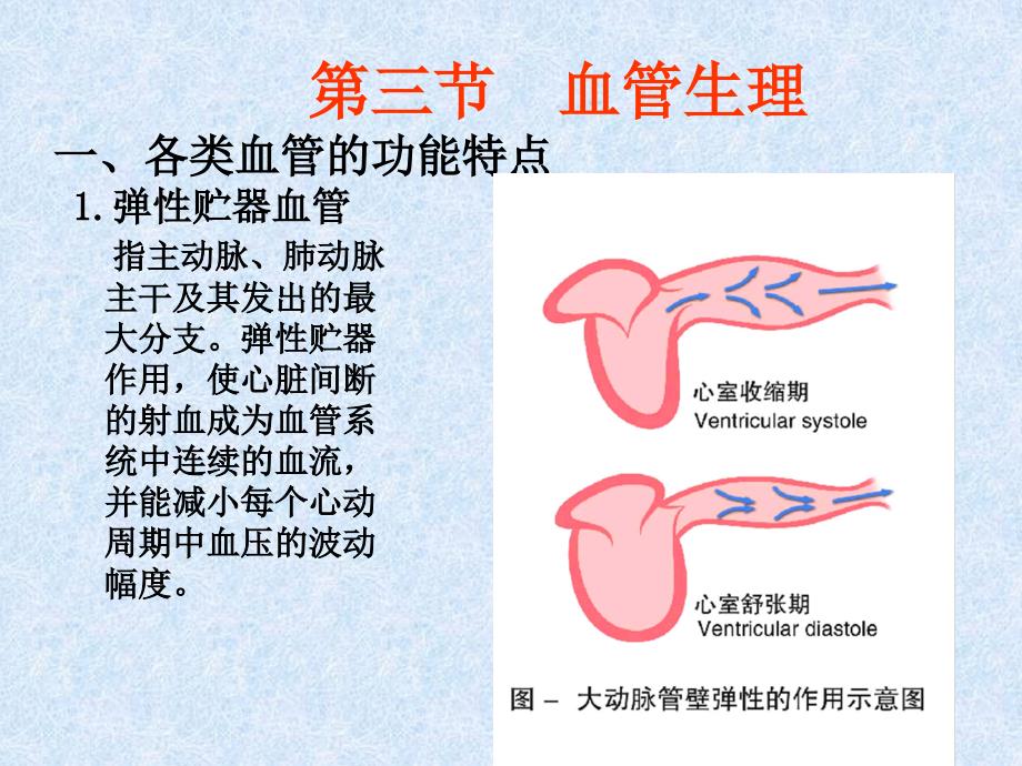 《血管生理课件_第1页