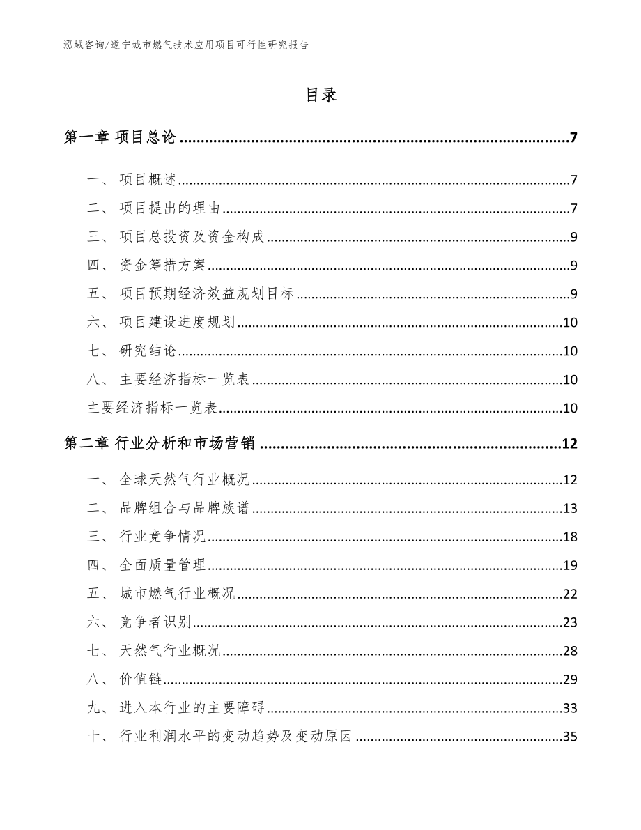 遂宁城市燃气技术应用项目可行性研究报告（模板参考）_第1页