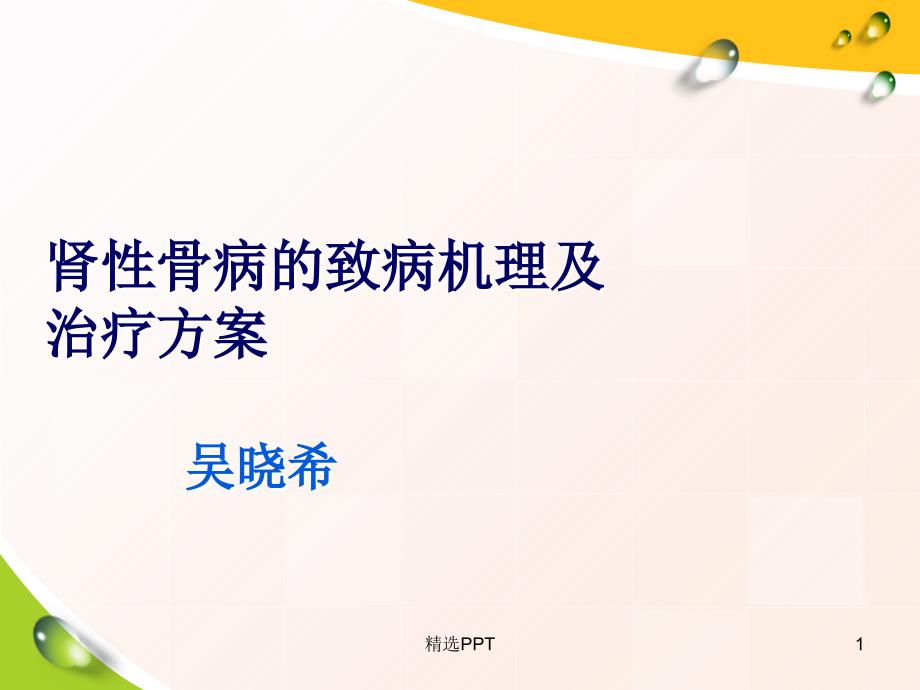 肾性骨病的致病机理及治疗方案课件_第1页