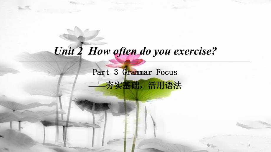 八年级英语上册 Unit 2 How often do you exercise Part 3 Grammar Focus课件 （新版）人教新目标版_第1页