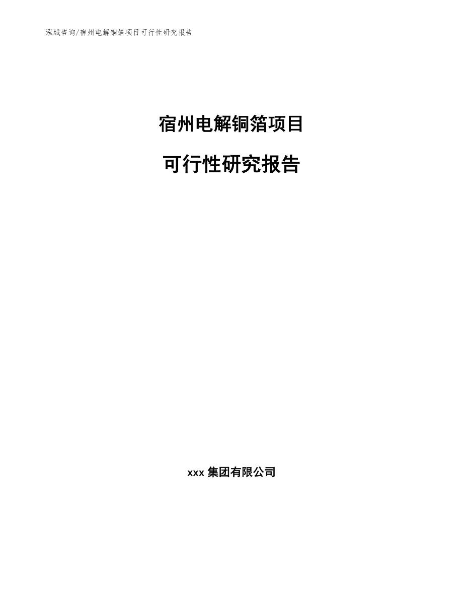 宿州电解铜箔项目可行性研究报告【模板】_第1页