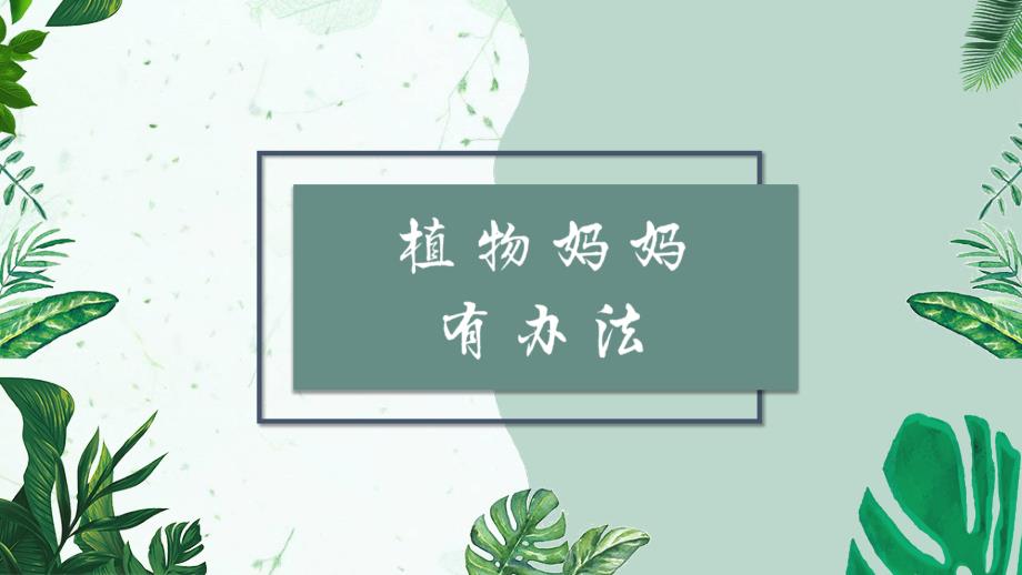 编人教部编版二年级语文上册《植物妈妈有办法》优质教学ppt课件_第1页