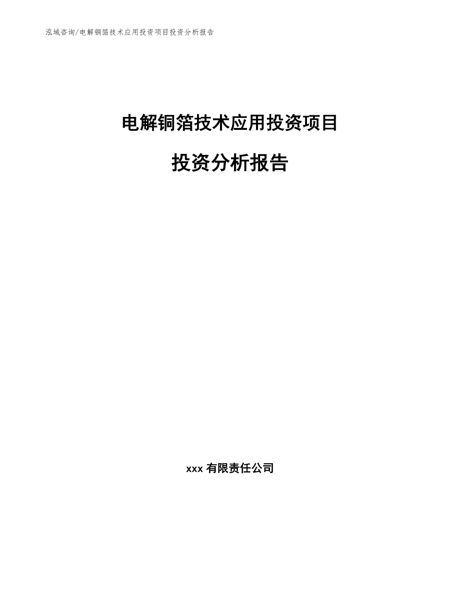 电解铜箔技术应用投资项目投资分析报告_范文_第1页