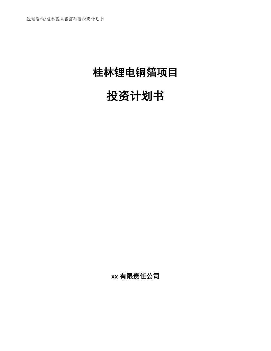 桂林锂电铜箔项目投资计划书（范文参考）_第1页