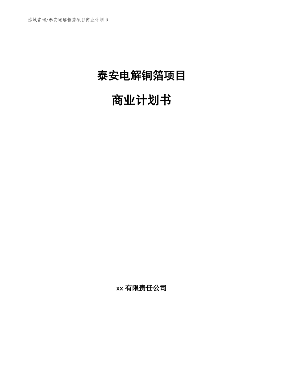 泰安电解铜箔项目商业计划书（参考范文）_第1页