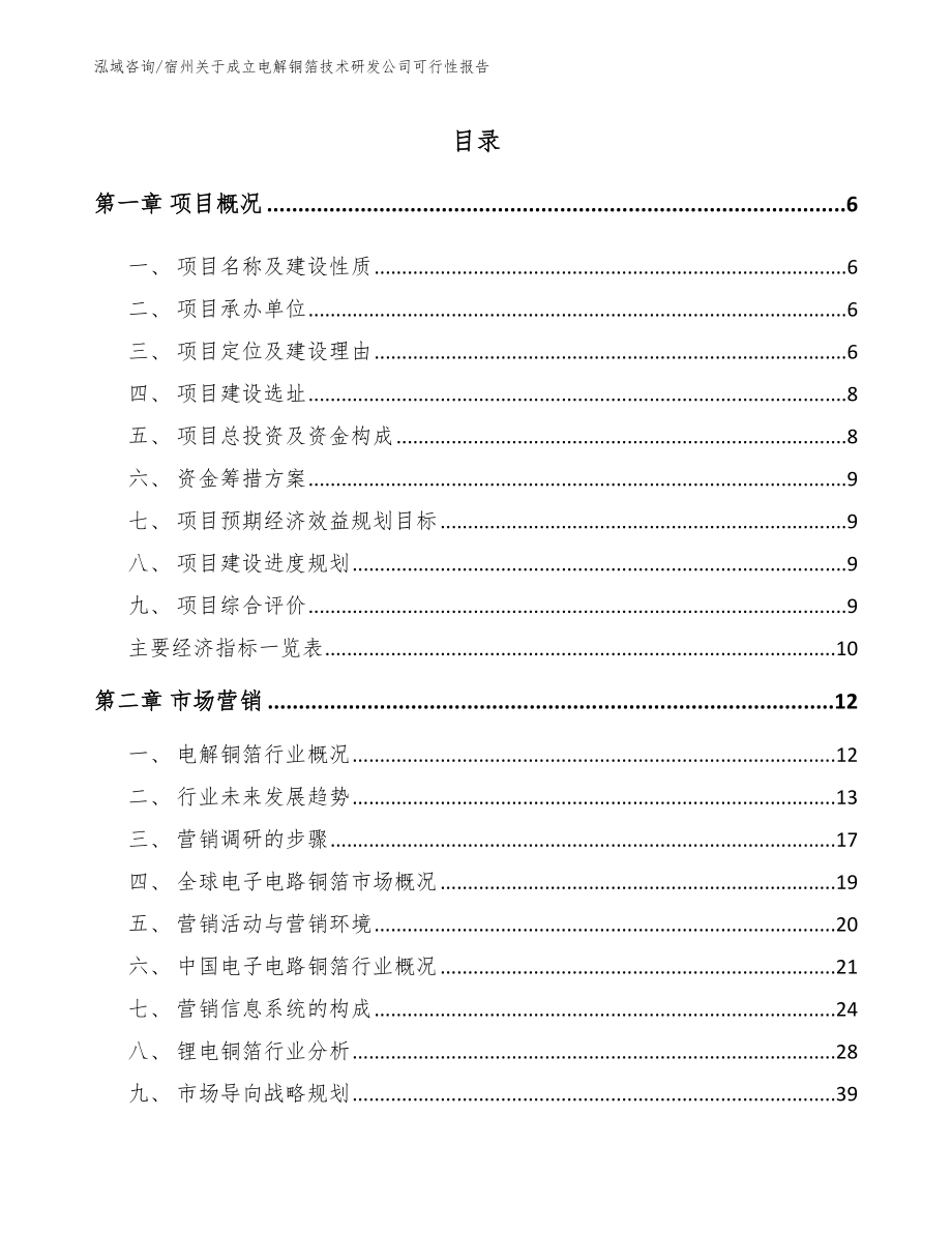 宿州关于成立电解铜箔技术研发公司可行性报告范文_第1页