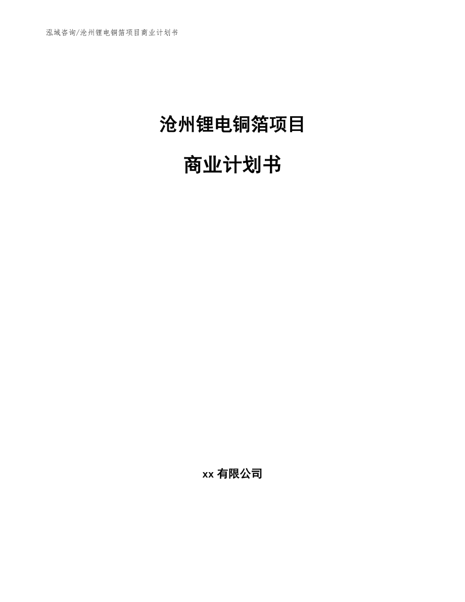 沧州锂电铜箔项目商业计划书【模板范文】_第1页