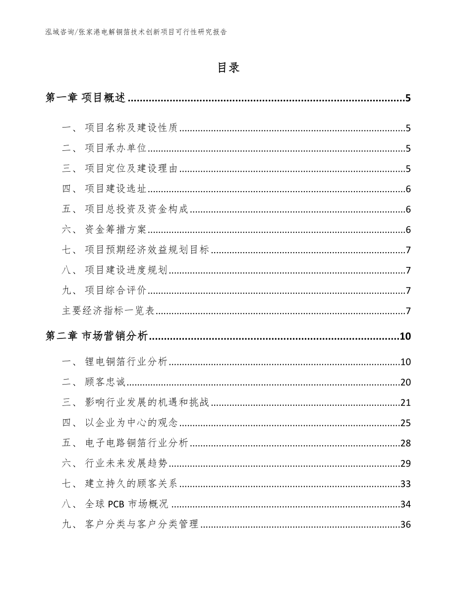 张家港电解铜箔技术创新项目可行性研究报告_第1页