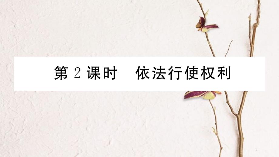 八年级道德与法治下册 第二单元 理解权利义务 第三课 公民权利 第2框 依法行使权利习题讲评课件 新人教版_第1页