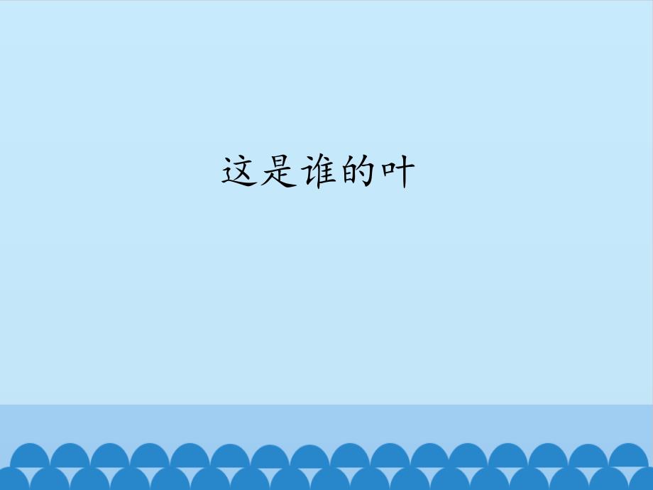 【教科版】这是谁的叶完美课件1_第1页