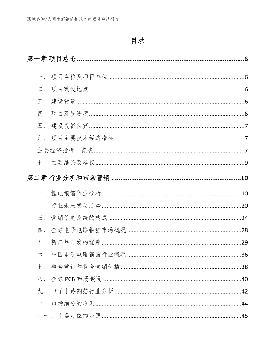 大同电解铜箔技术创新项目申请报告（模板）_第1页