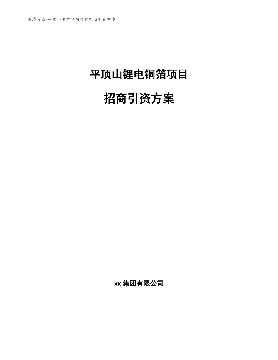 平顶山锂电铜箔项目招商引资方案【模板范文】_第1页