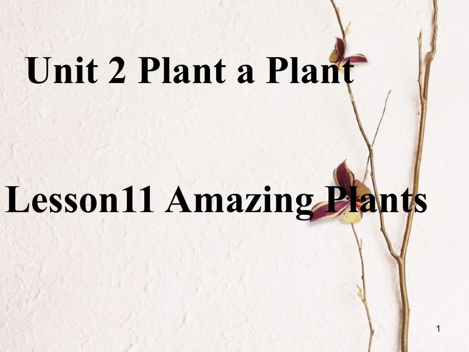 八年级英语下册 Unit 2 Plant a Plant Lesson 11 Amazing Plants课件 （新版）冀教版_第1页