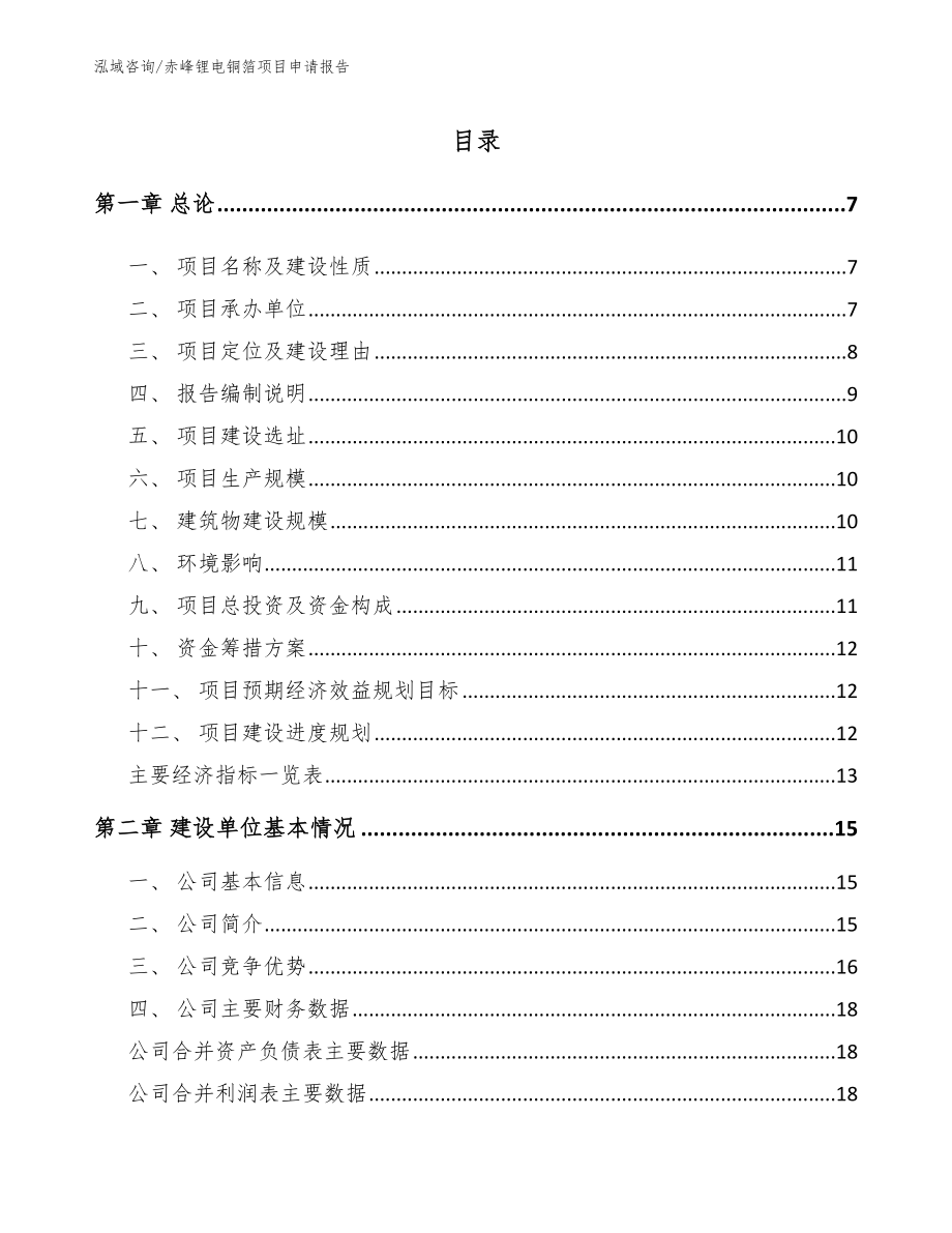 赤峰锂电铜箔项目申请报告_第1页