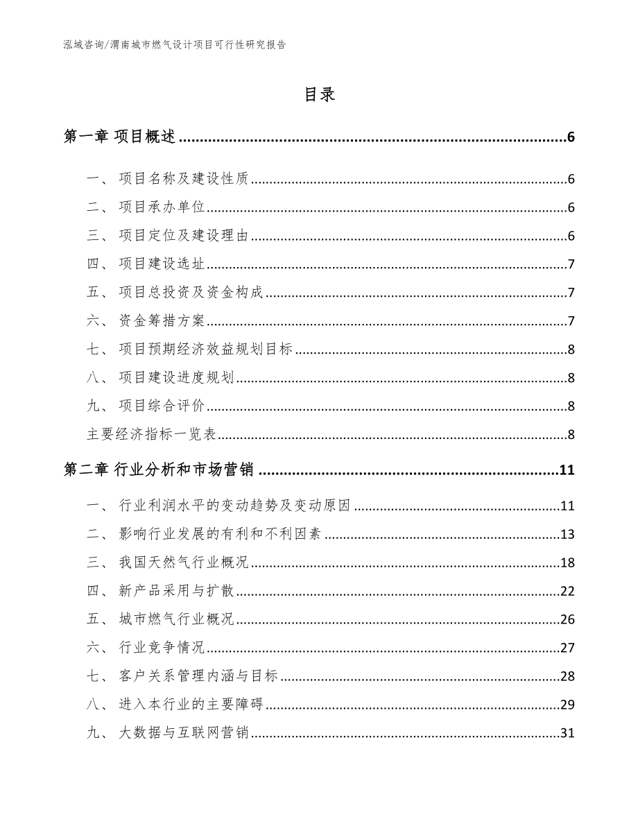 渭南城市燃气设计项目可行性研究报告（模板范本）_第1页