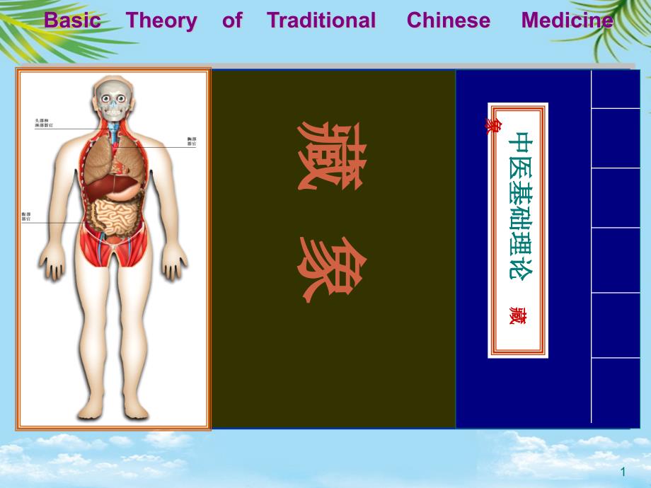 藏象学说五脏肾课件_第1页